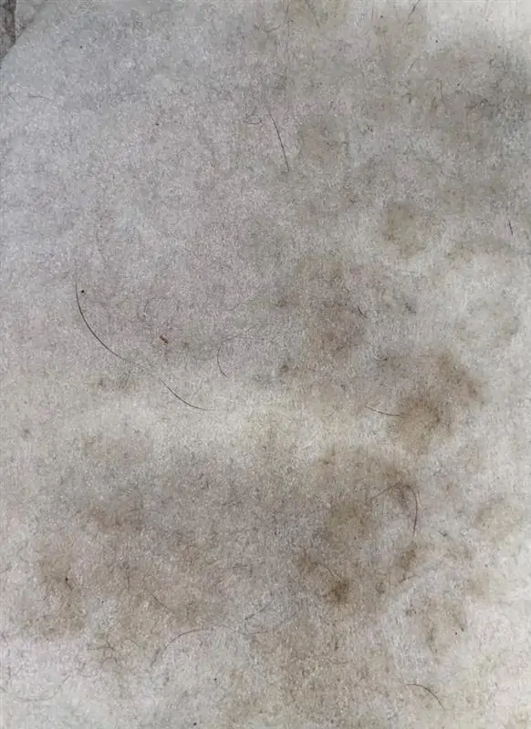 MicrosoftTeams-image (1)