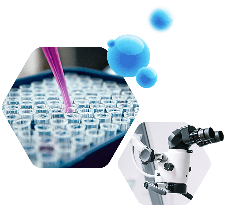 lab-services-top
