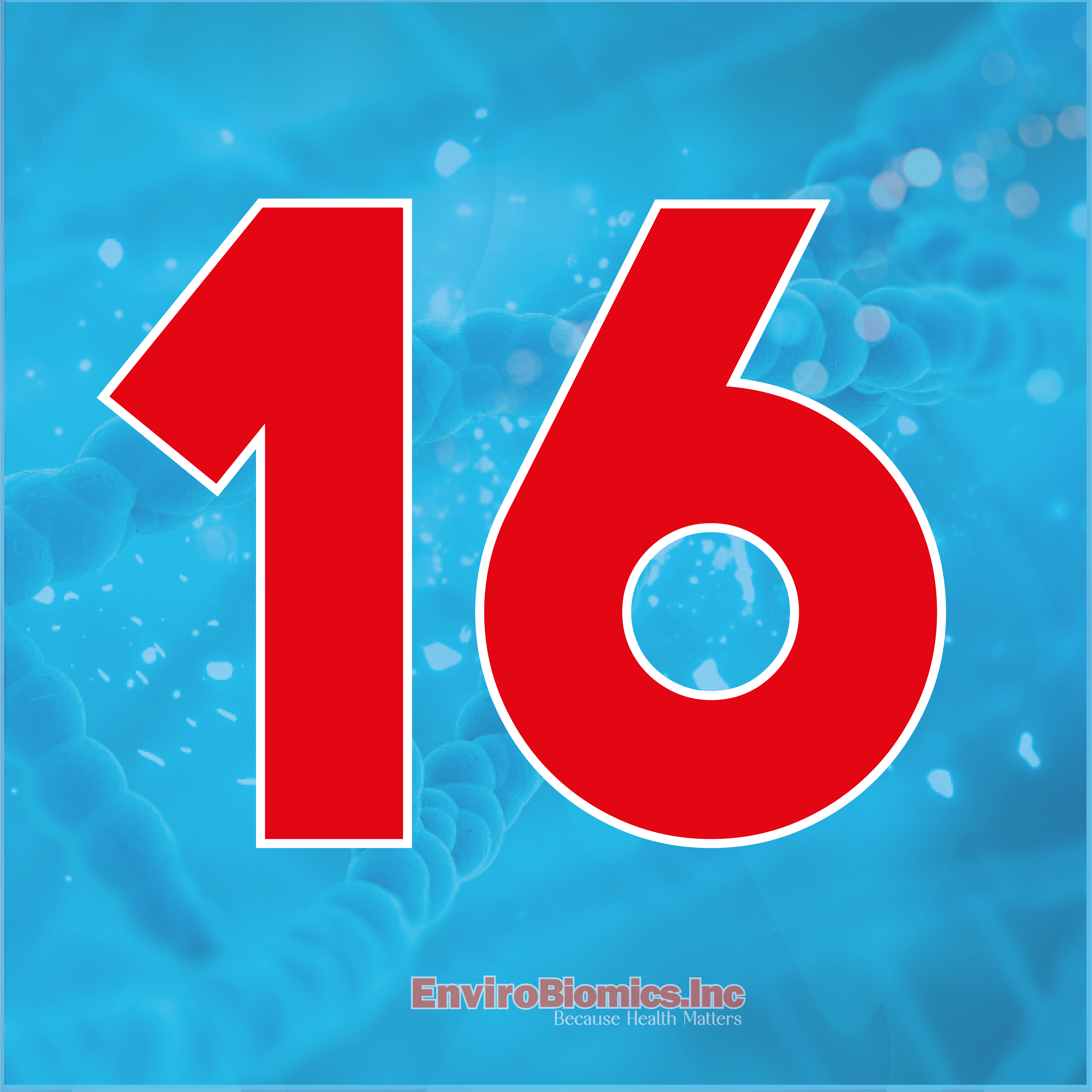 016 LFINAL