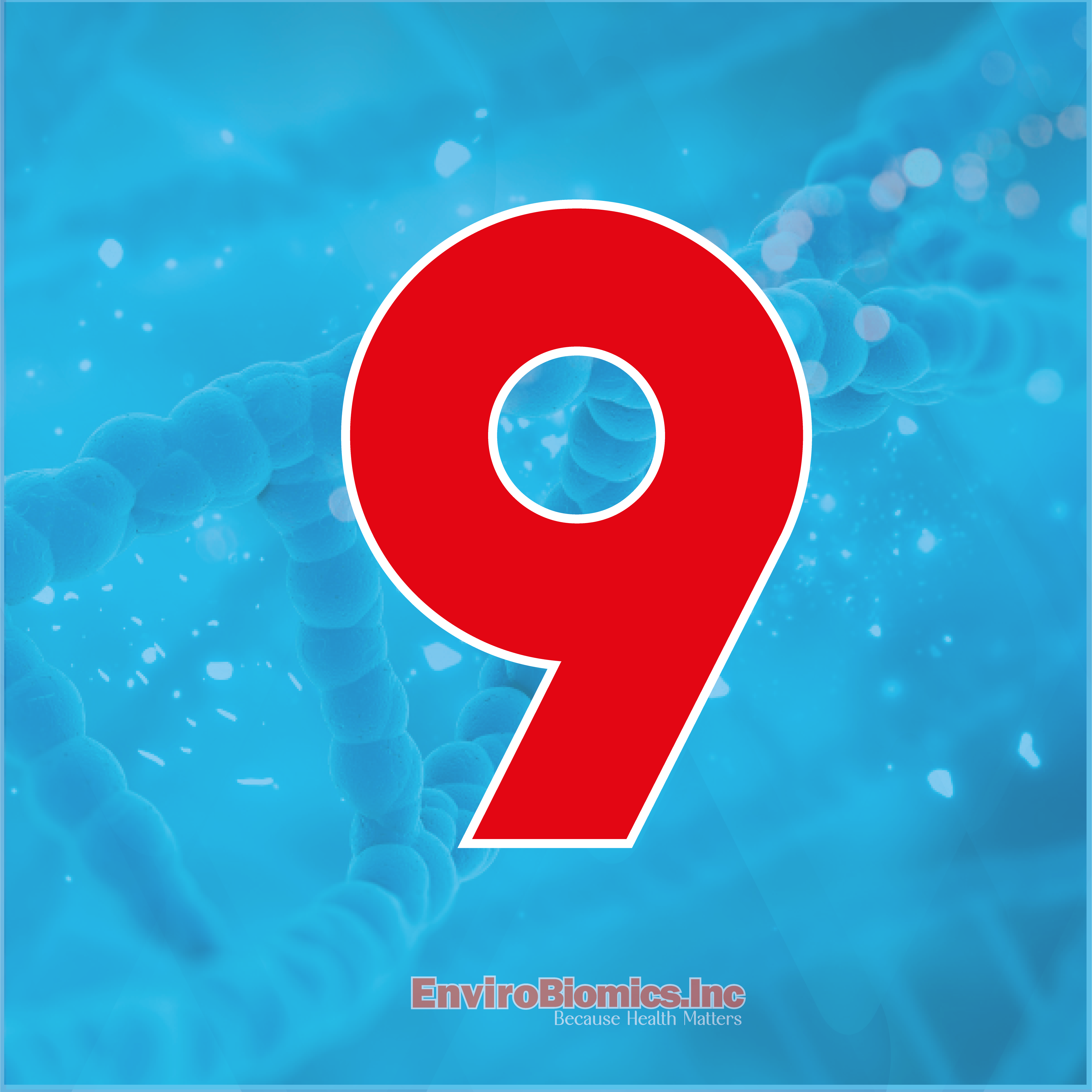 09 LFINAL