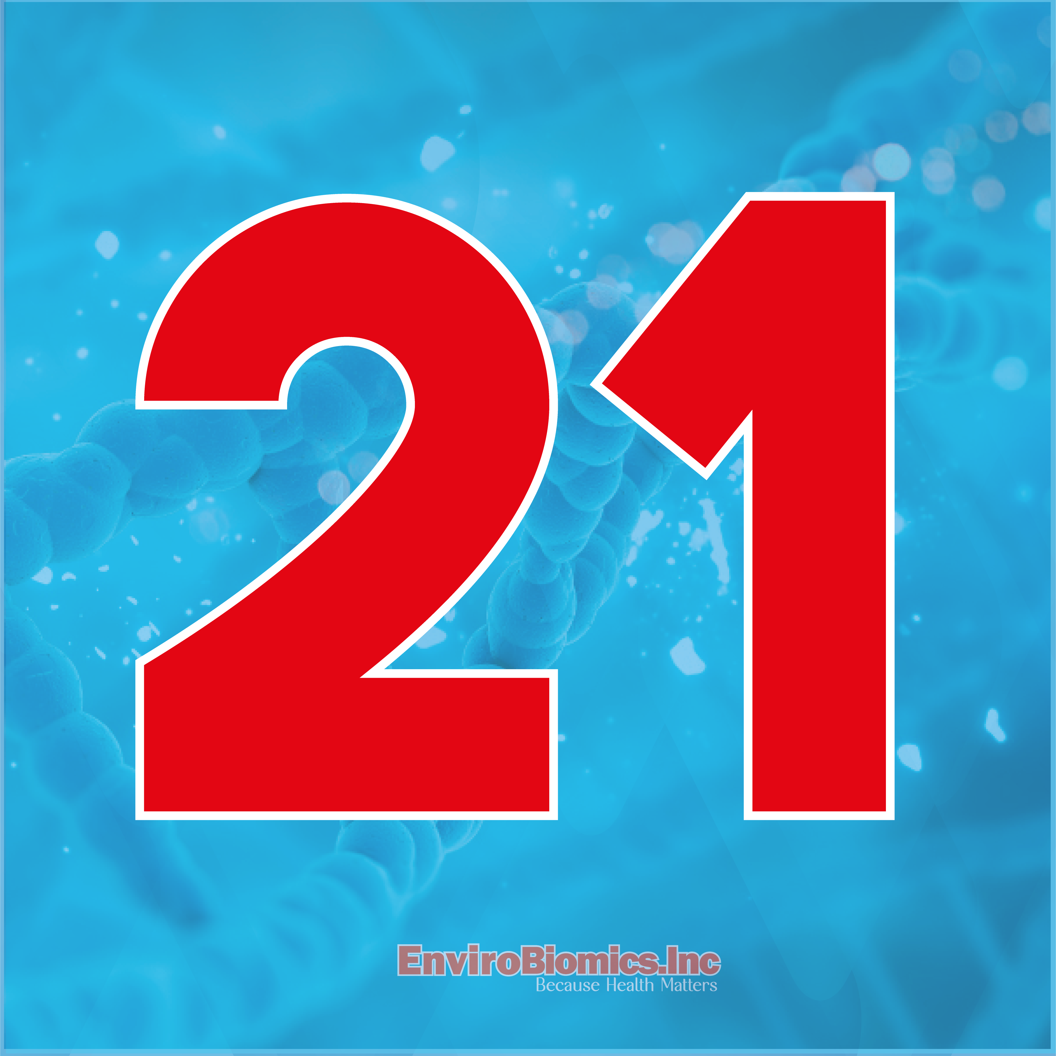 21 LFINAL