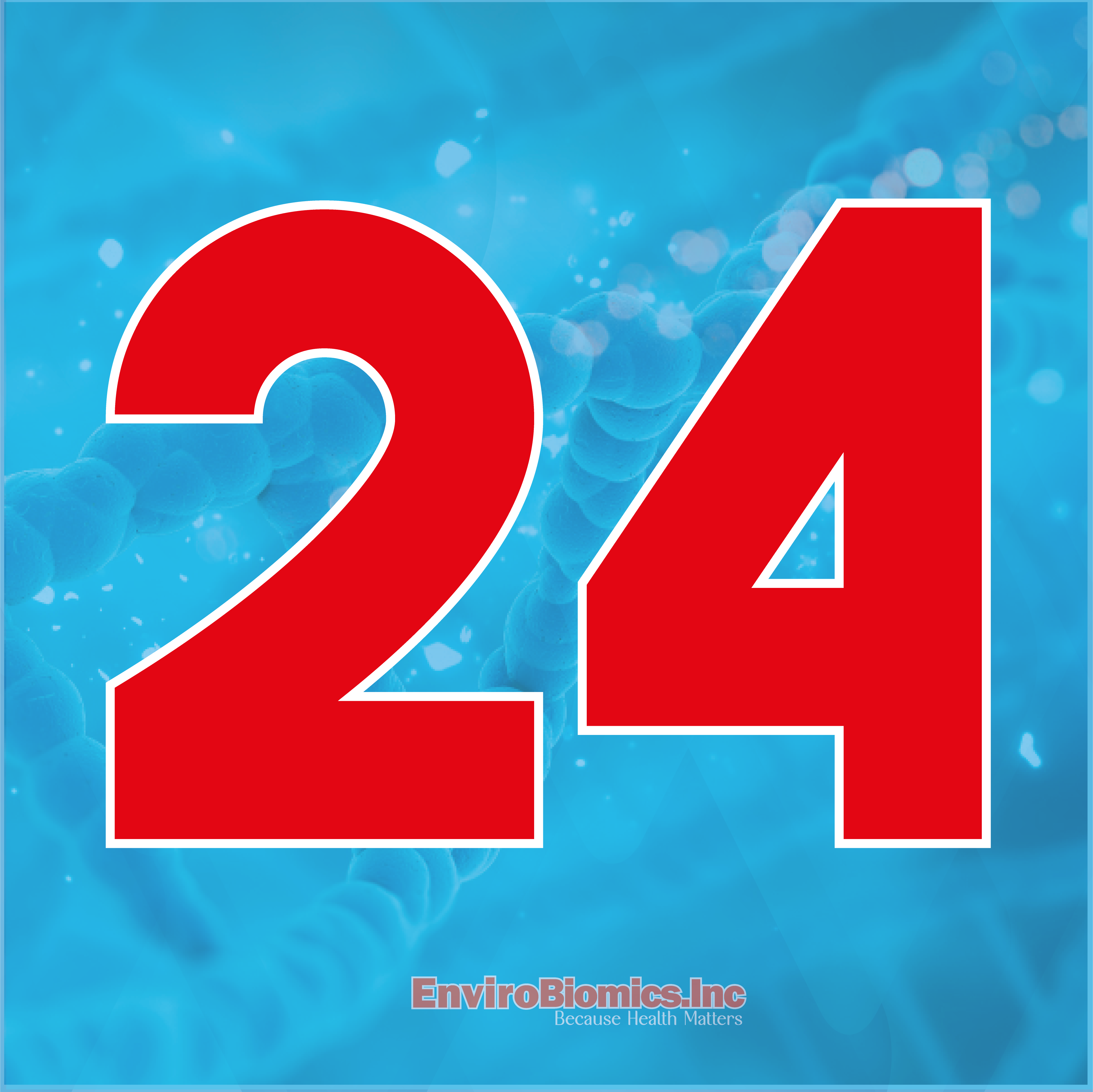 24 LFINAL