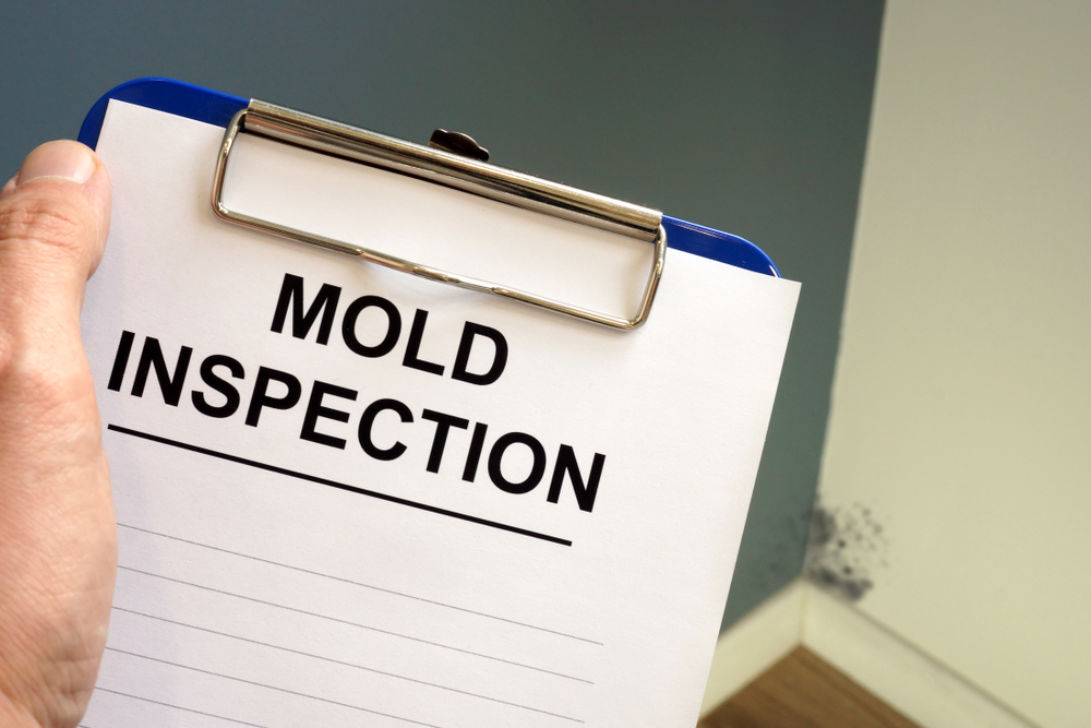 ERMI involves identifying the mold DNA present in the floor sediment 3 shutterstock 1383630491