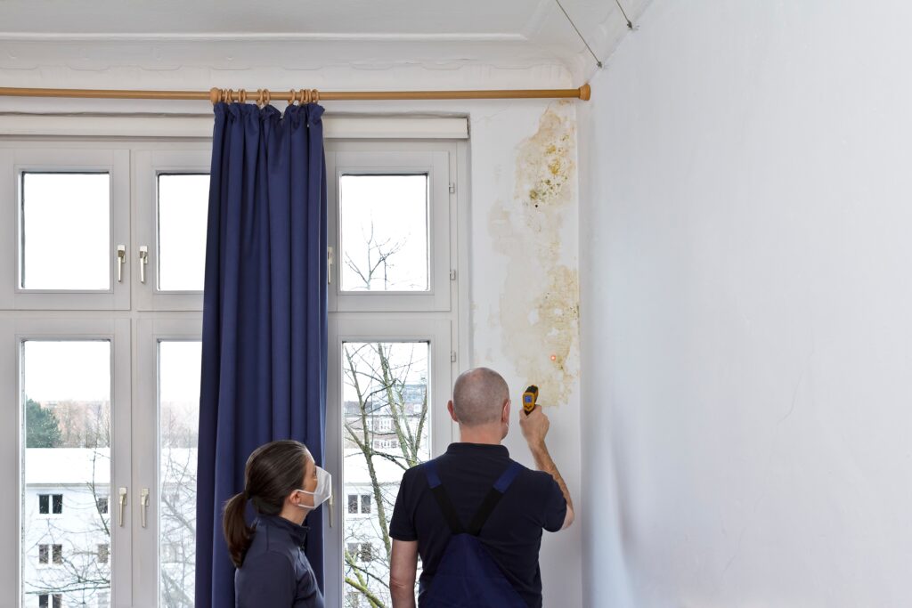 Is cleaning black mold yourself safe? Consider these factors before making a decision 3 shutterstock 2198543911
