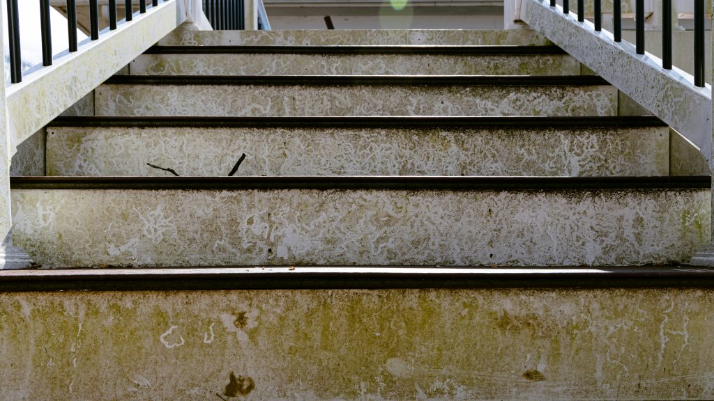 Understanding How Home Mold Tests Work and Their Importance in Identifying Indoor Mold Growth 3 alex reynolds AoRVOGASjMI unsplash