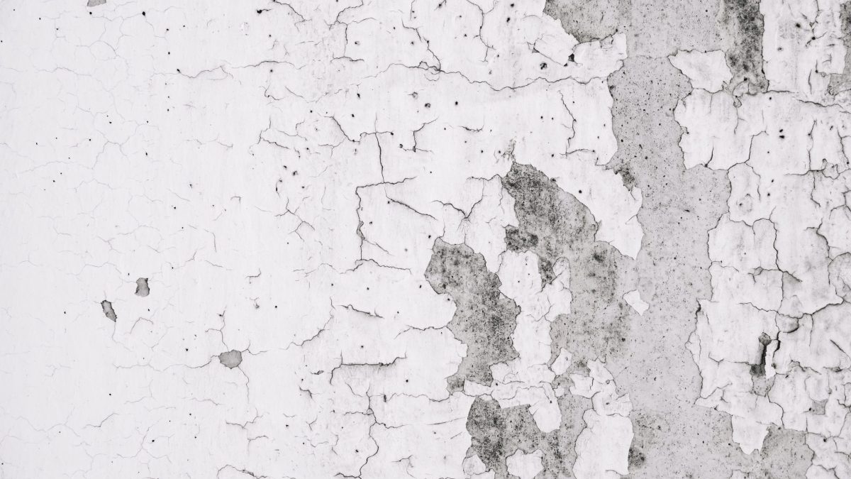 grunge wall with peeled paint scaled