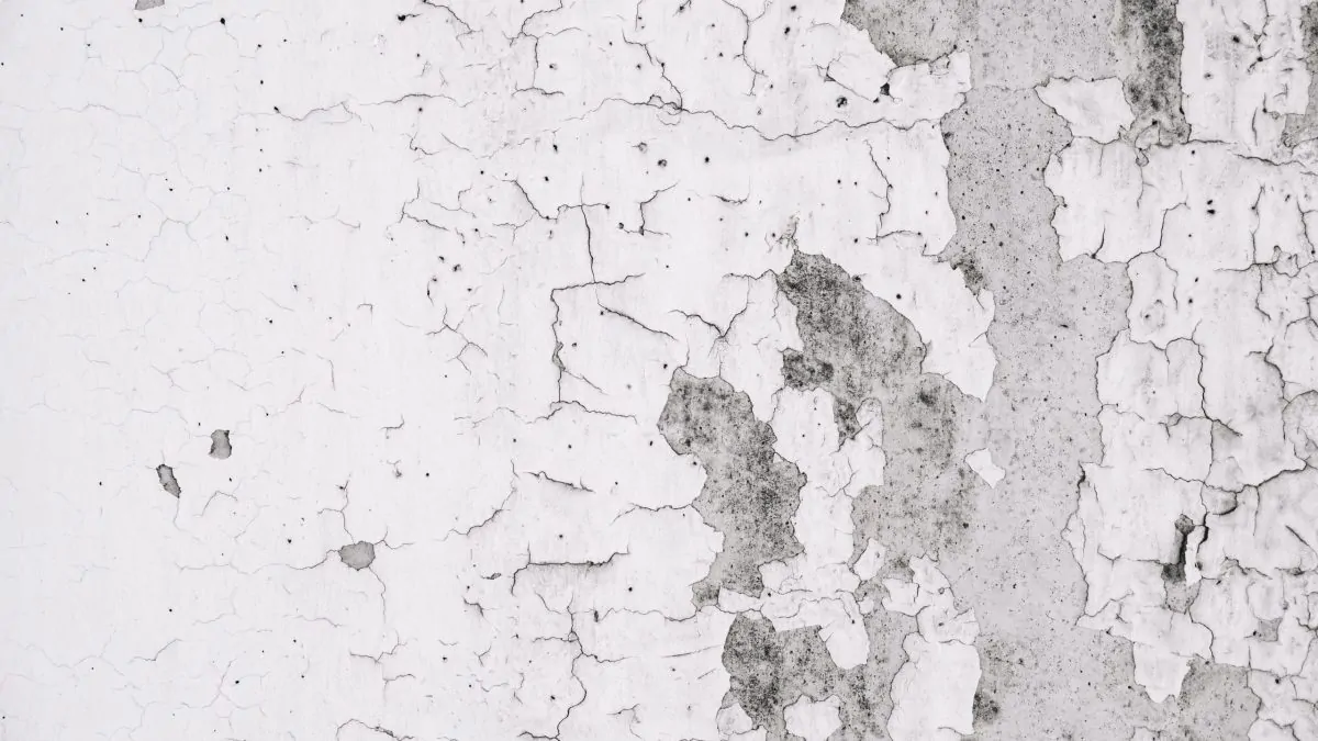 Mold in American Homes: Understanding the Issue and Effective Solutions 2 grunge wall with peeled paint scaled