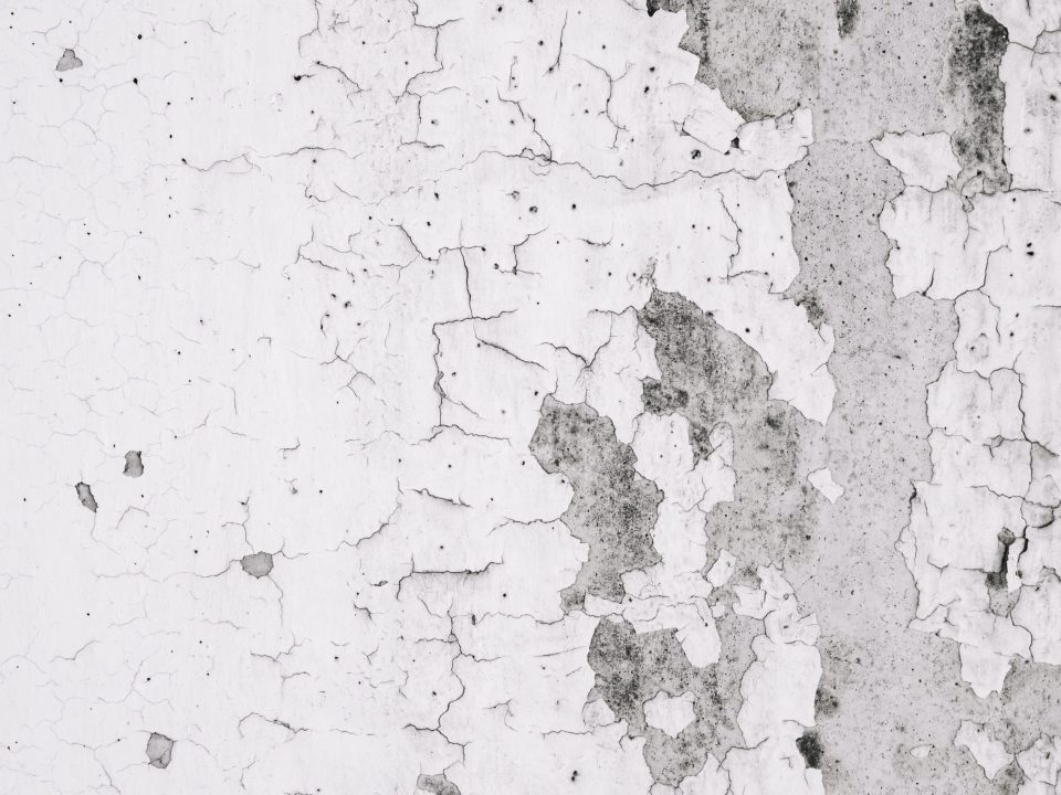 grunge wall with peeled paint scaled