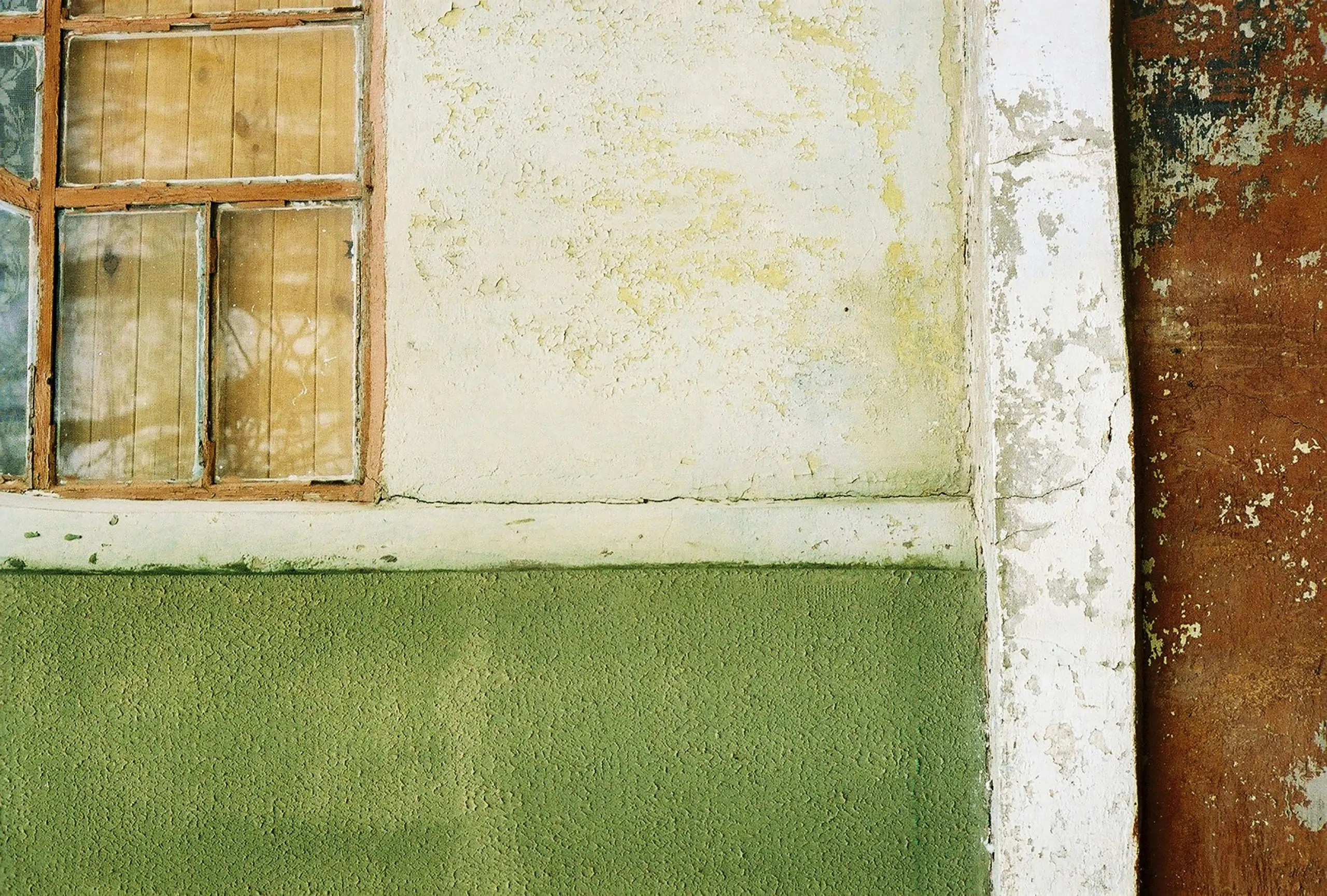 Tackling Mold: Understanding the Importance of Home Mold Remediation 3 bogdan karlenko PjIbe80SPr8 unsplash scaled